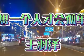 歌曲欣赏《想一个人才会孤单》视频封面