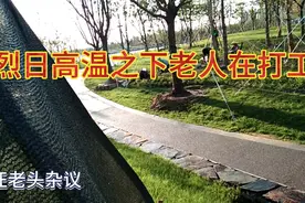 上海夲地老农民在烈日之下打工，看多少工资一天。视频封面