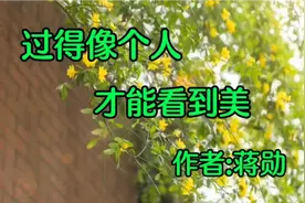 《过得像个人，才能看到美》作者，蒋勋视频封面