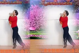 《桃花朵朵开》歌词陈庆祥:舞蹈演示:湘西龙山金花广场舞视频封面