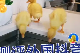 测评一下外国抖音视频封面
