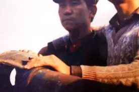 无悔青春视频封面