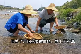 青苔鸡蛋汤，干净水域的青苔才可以吃哦#乡村生活#夫妻日常视频封面