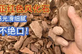 山上惊遇红色风化石、连上面长的草都变红亮、用来养兰花好使吗？