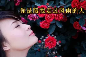 红蔷薇一首经典原唱歌曲《你是陪我走过风雨的人》最完整版很好听视频封面
