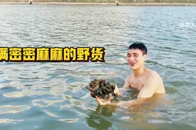海上潜水发现海底的石头十分稀奇，捞起来竟然全是好货，太过瘾了视频封面