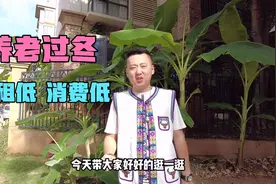 西双版纳满大街东北人，消费低，房价低，养老过冬公寓每月才800视频封面
