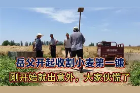 岳父开启全村第一镰收麦，有去无回出意外，这里有不为人知的故事视频封面