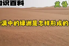 沙漠绿洲形成的原因视频封面