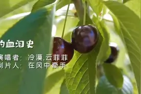 冷漠.云菲菲的《爱的血泪史》听着就扎心，是首不错的作品！