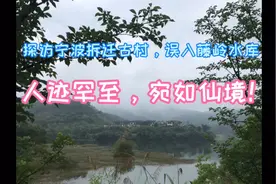探访宁波拆迁古村四明山村，误入西岙水库，烟雾缭绕，宛如仙境！视频封面