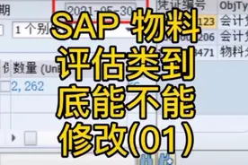 sap fico sap s4 hana erp入门 sap入门 财务 会计视频封面
