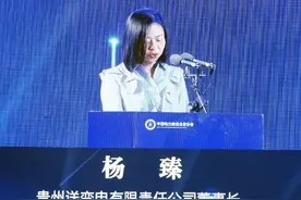 《电力建设工程智慧工地管理成果（输变电）经验交流及共享平台展视频封面