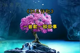 玛尼情歌多情的纳木错，有多有情呢，三生缘定因果，我等你来娶我视频封面