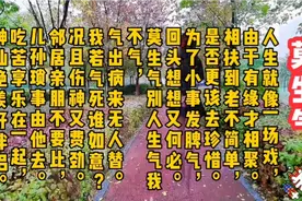 打油诗巜莫生气》视频封面