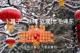 卜算子·咏梅  近现代.毛泽东视频封面