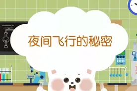 人教版四年级语文上册教学《夜间飞行的秘密》#四年级语文上册视频封面