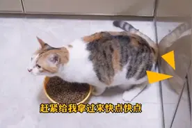 当直播结束时忘记关麦视频封面