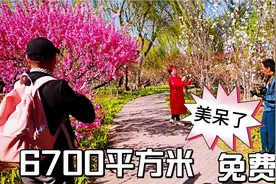 河北唐山南湖公园的花太美啦，免门票，周末有时间可以去看看视频封面