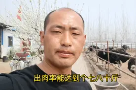 农村小伙养几十只鸵鸟，一只鸵鸟300多斤，大家看看有没有视频封面