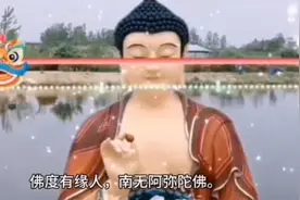 佛语禅心一花一叶一世界，南无阿弥陀佛，厡众生平等，幸福安康。视频封面