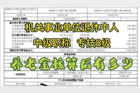 机关事业单位退休中人，中级职称～专8，养老金核定表解析（三）视频封面