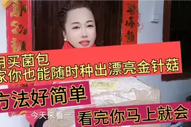 金针菇切下不要的头,居然能种出漂亮可口的金针菇,方法超级简单视频封面