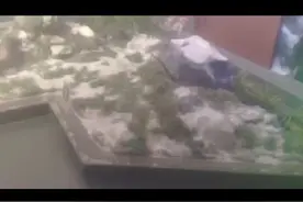 記錄曆史痕跡，為新中國成立犧牲的英雄致敬！緬懷先烈！牢記曆史视频封面