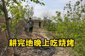 山西吕梁农村，一家人白天在地里干农活耕地，晚上全家吃烧烤！视频封面