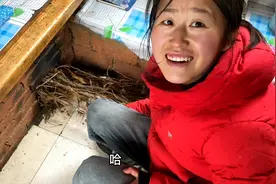 10月3号东北林区突降大暴雪，姑娘住铁皮房，烧炕取暖视频封面