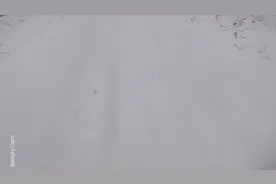 今天儿子12周岁了。视频封面