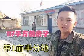 东北农村平房地理位置好，117平方带1亩半地，太适合养老了！视频封面