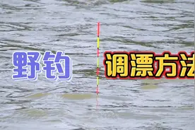 野钓调漂方法，超过4克的浮漂调出1克的灵敏度，这方法出奇的好用