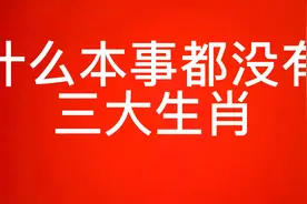 什么本事都没有的三大生肖视频封面