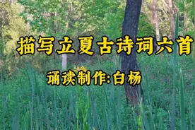 描写立夏古诗词六首：初夏即事 山中立夏用作客韵 阮郎归•初夏视频封面