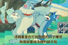 搞笑配音 猫和老鼠：汤姆太吵了 狗哥要拔汤姆的胡子 笑到肚子痛视频封面