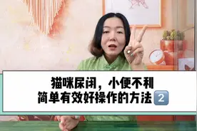 猫咪尿闭，排尿困难，爽姐教你用蚯蚓来治疗，有效！视频封面