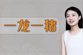 “一龙一猪”啥意思？背后的历史典故，写满做父亲的良苦用心视频封面