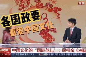央视专访：以春节为代表的中国文化，已有巨大的全球影响力视频封面