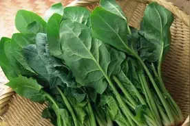 菠菜的属性作用及禁忌视频封面