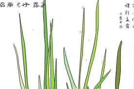 召南《行露》～诗经中的一场精彩辩护，看看先民最早的诉讼视频封面