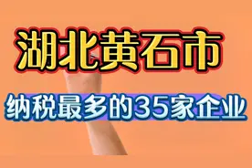 湖北黄石市纳税最多的35家企业视频封面