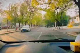 听一听老专家怎理解事情视频封面