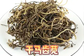 马齿苋晒干更好吃，营养不流失，冬天做包子馅、饺子馅，回味无穷视频封面