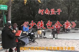 河南坠子《少侠包公案》下集视频封面