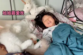 超大布偶猫每天睡床，还得枕枕头视频封面