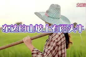 撒狗粮的浪漫小情歌《东边的山坡上有两头牛》，太好听了视频封面