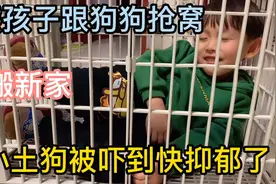 救助的狗狗搬新家，5岁男孩亲自动手搭“狗窝”，却被吓到快抑郁视频封面