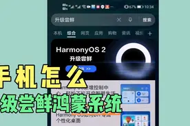 华为荣耀手机，怎么升级尝鲜鸿蒙系统！