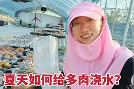 夏天到底该怎样给多肉浇水？要不要控水，详细浇水教程安全度夏视频封面